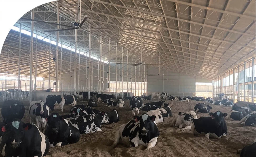 WX20250523-135027.png WX20250523-135027.png